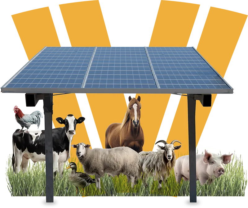 Panneau solaire agrivoltaïsme qui abrite les animaux