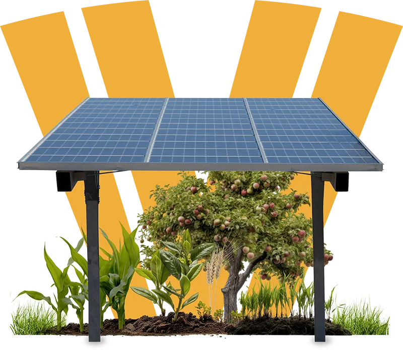 Panneau solaire agrivoltaïsme qui les cultures