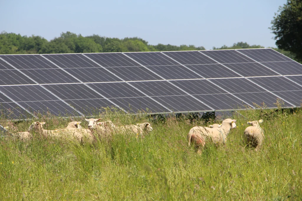 Type d'agriculture compatible avec l'agrivoltaïsme