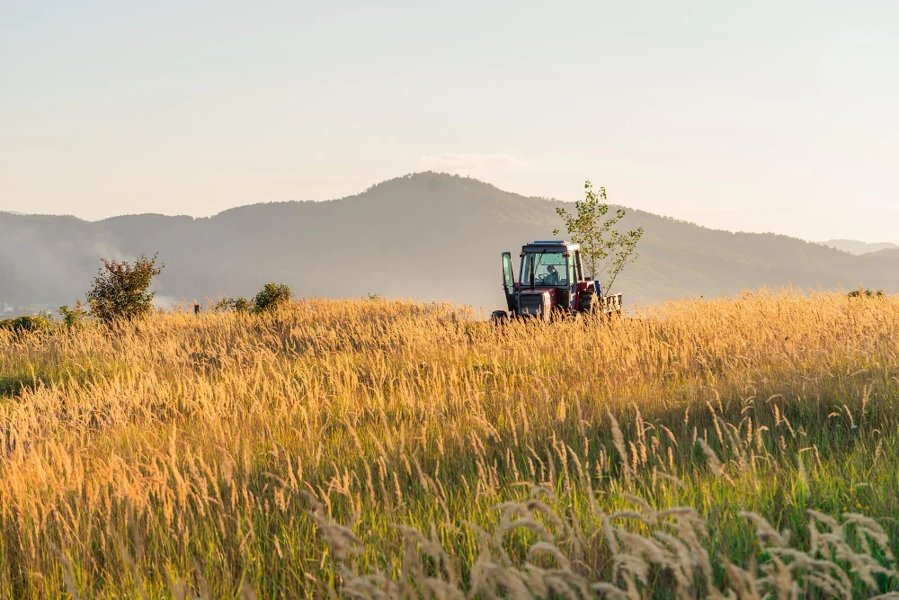 Gestion en agriculture de conservation