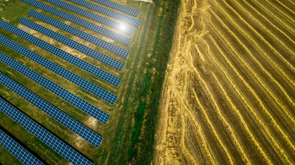 Agrivoltaïsme : champ de panneaux solaires vu du ciel