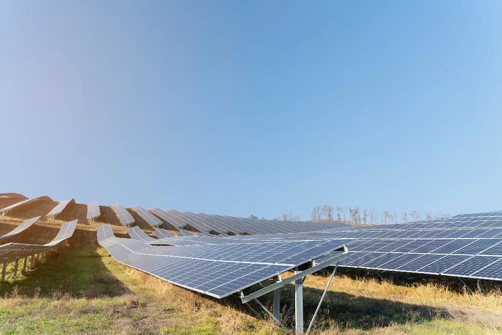 Champ de panneaux solaires sur un terrain en friche