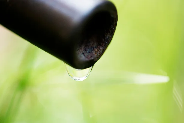 Système goutte à goutte : irrigation de précision dans l'agriculture