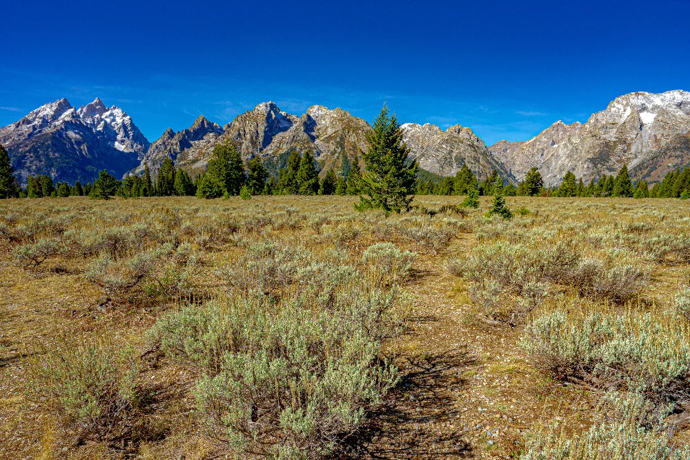 Terre non cultivée en montagne