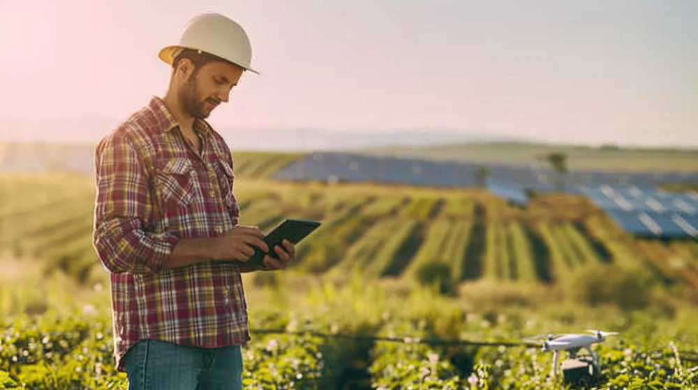 Agriculteur dans son champ de panneaux solaires