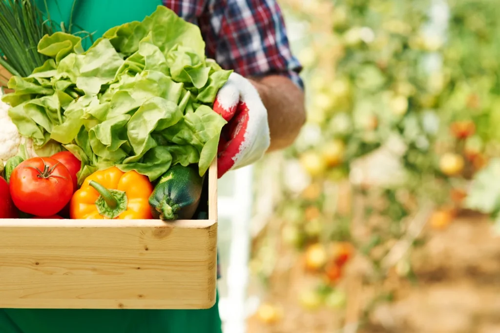 Agriculteur tenant une cagette de légumes comme idées de diversification agricole