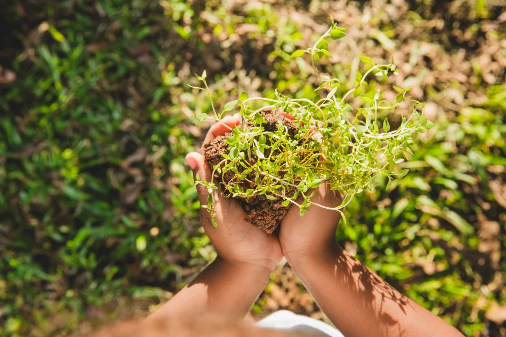mains tenant de l'herbe