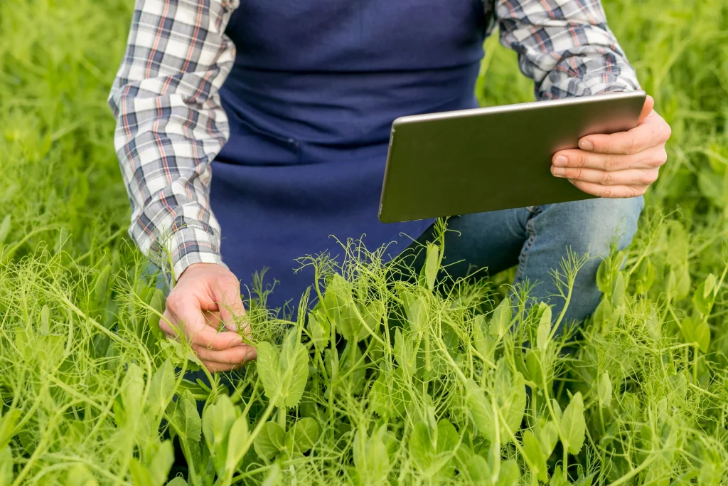 agriculteur travaillant dans un champ avec une tablette