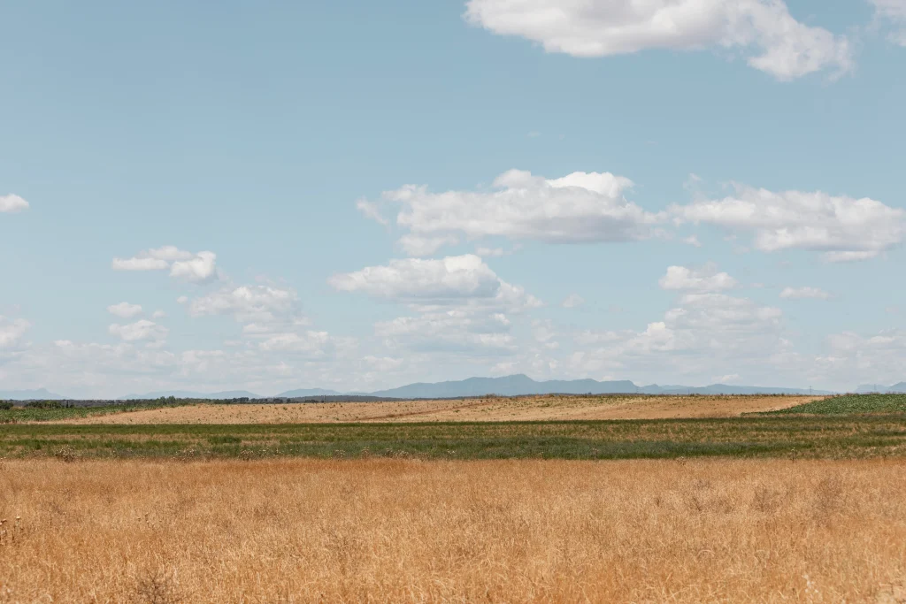 champ de foin à la campagne