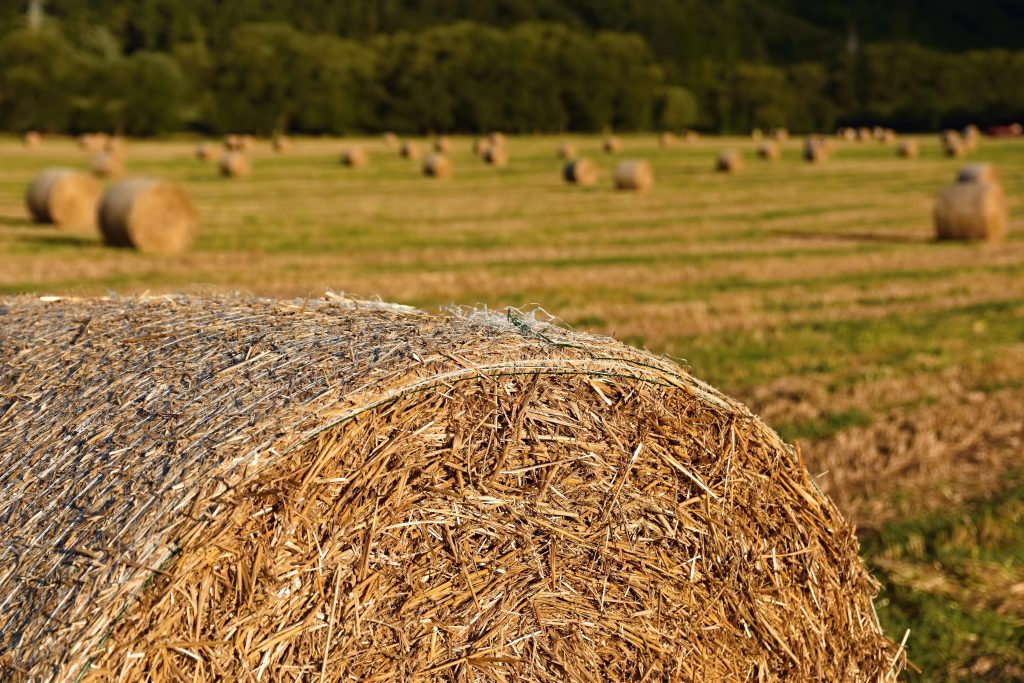 paysage de campagne avec du foin dans un champ
