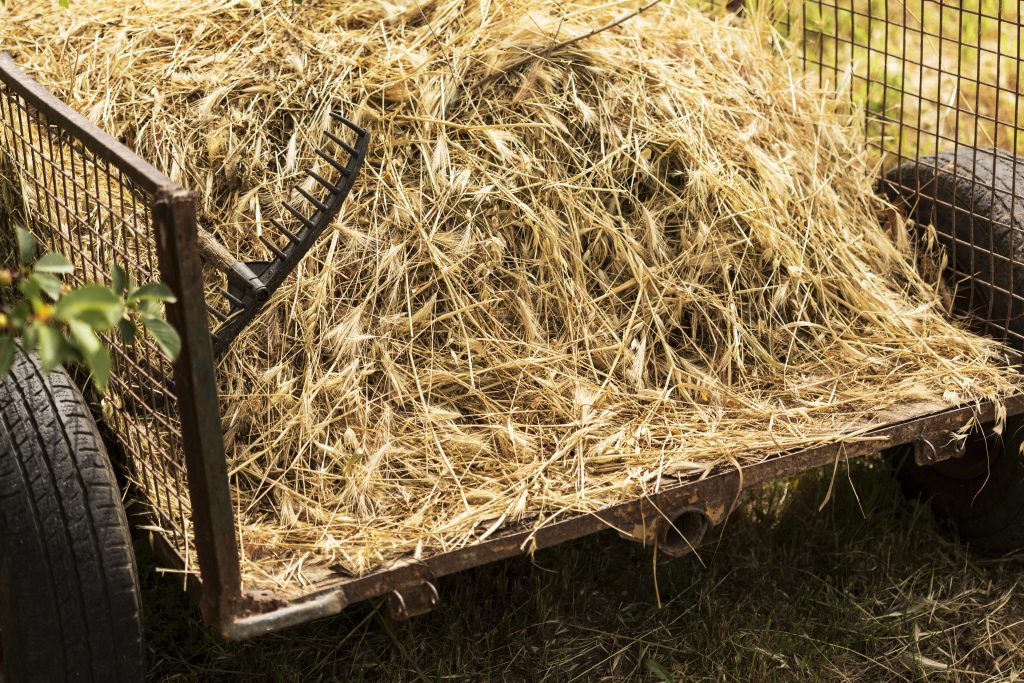 foin dans une ferme