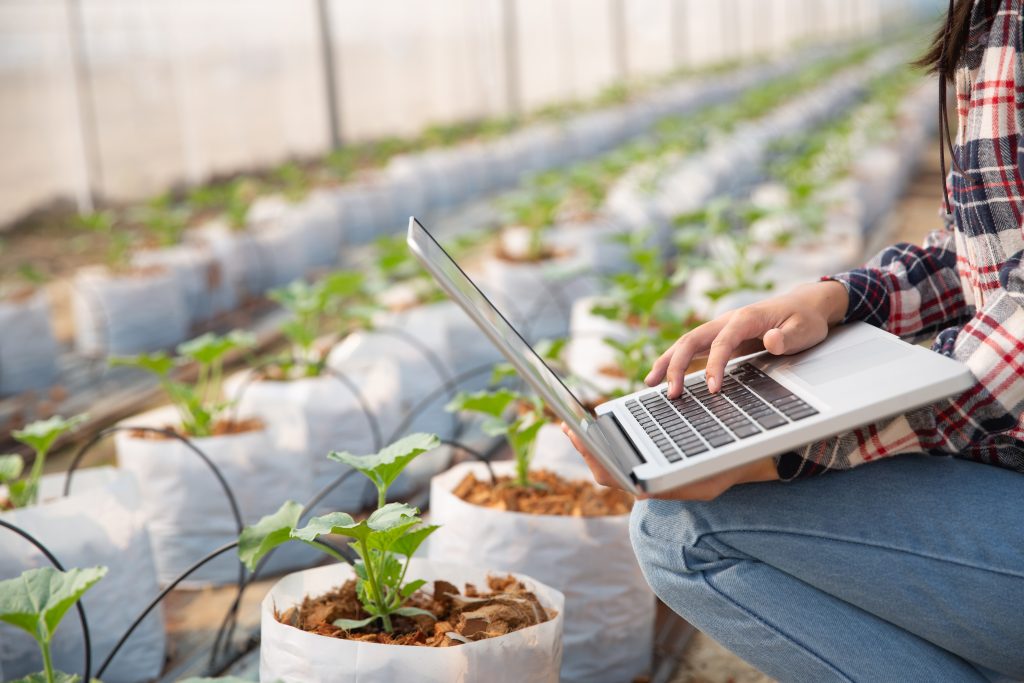 jeune femme controlant une plantation