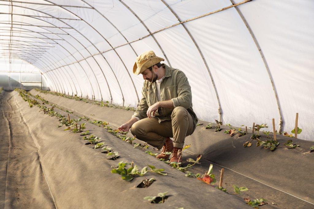 agriculteurs qui inspectent ses cultures