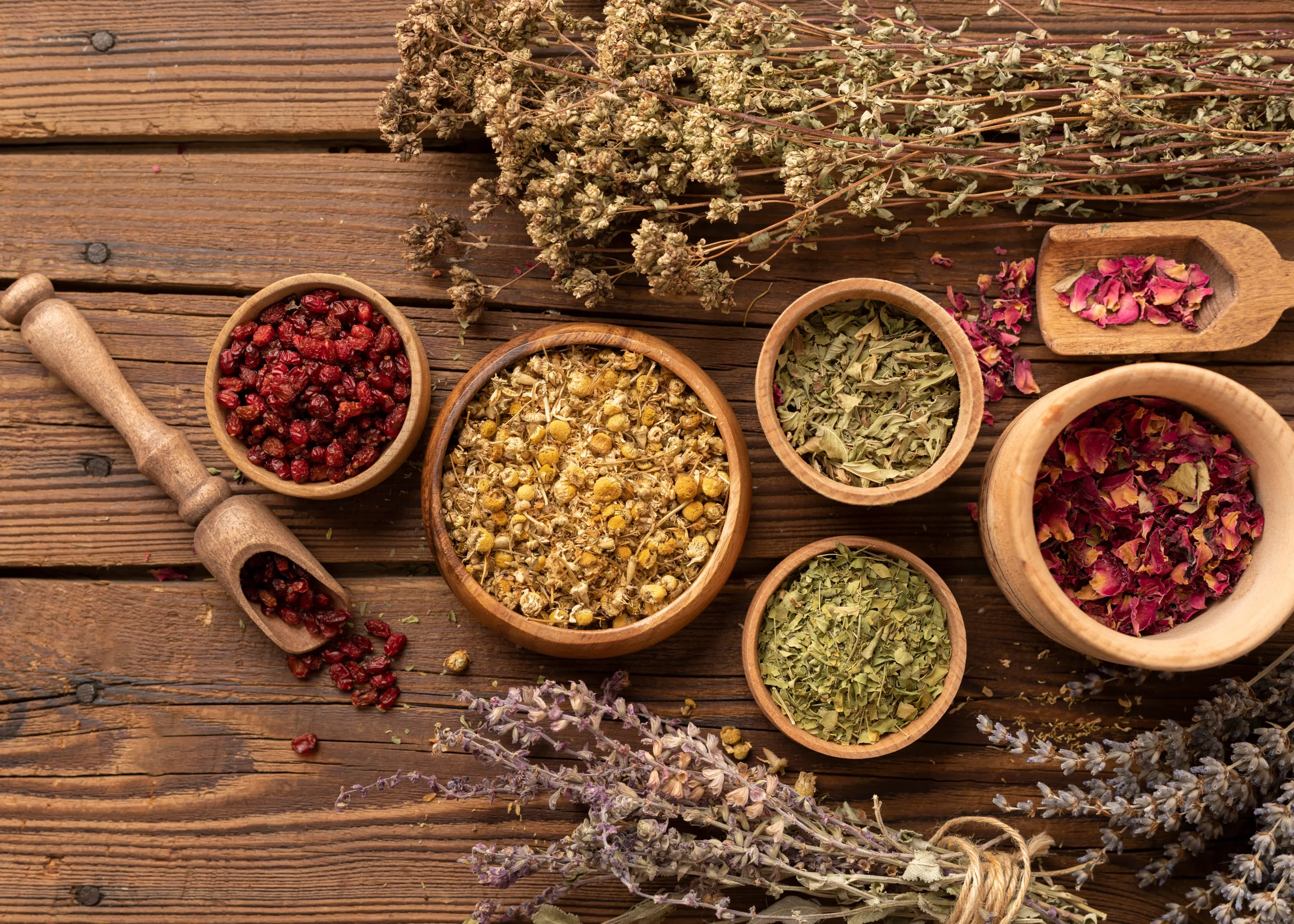vue du dessus herbes médicinales