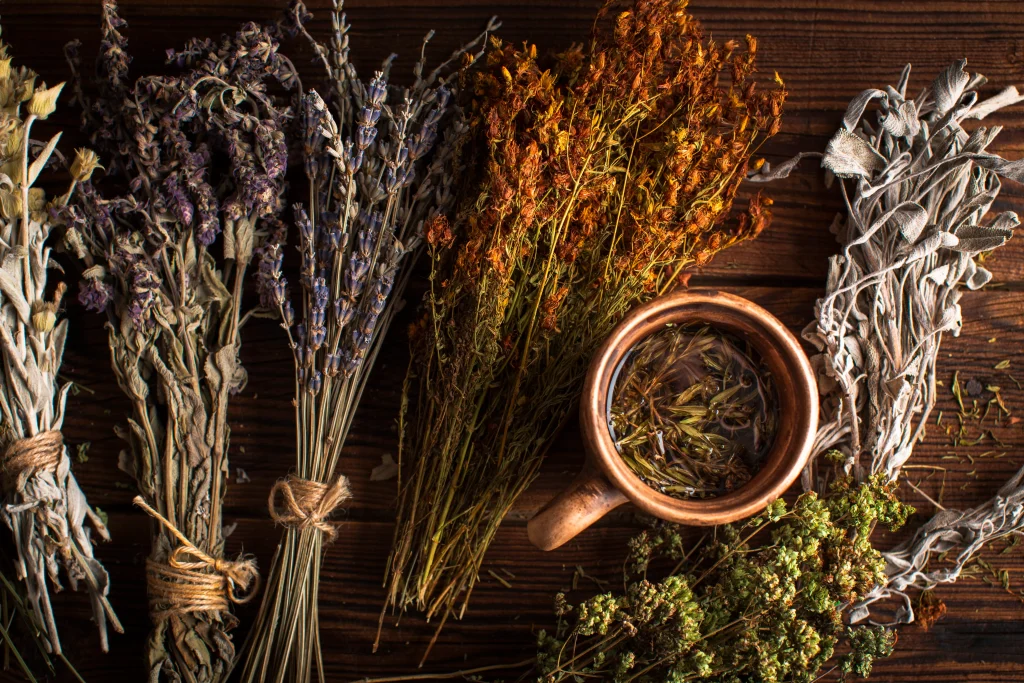 bouquets de plantes pour tisane