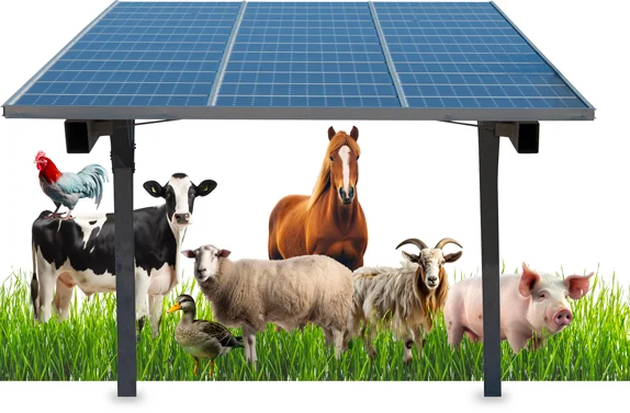 Ombrage pour les animaux