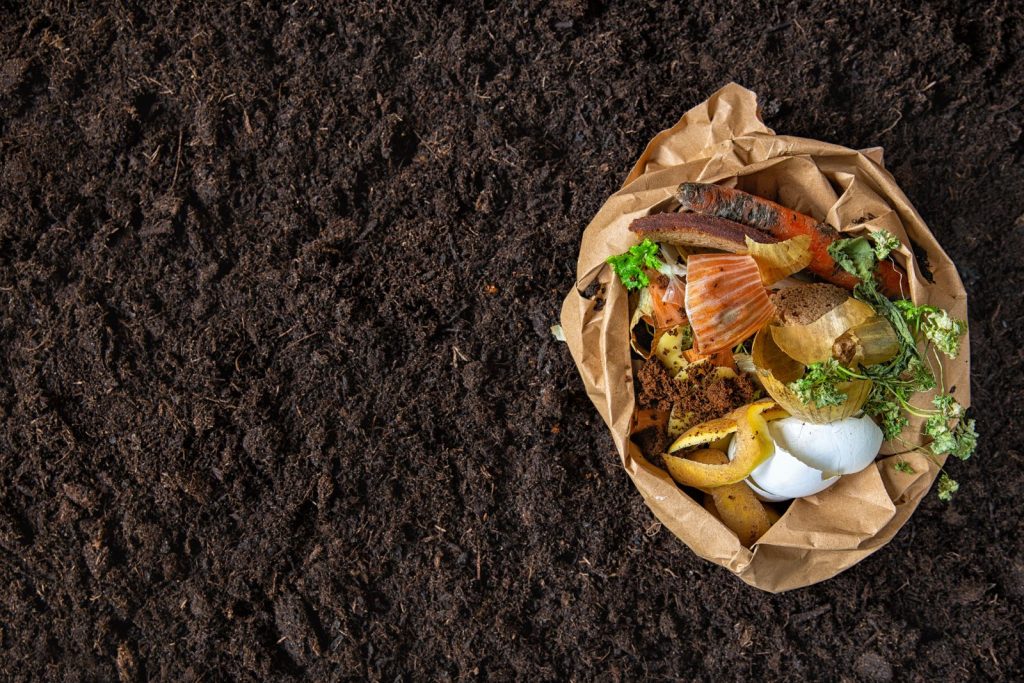 résidus d'aliments pour le compost