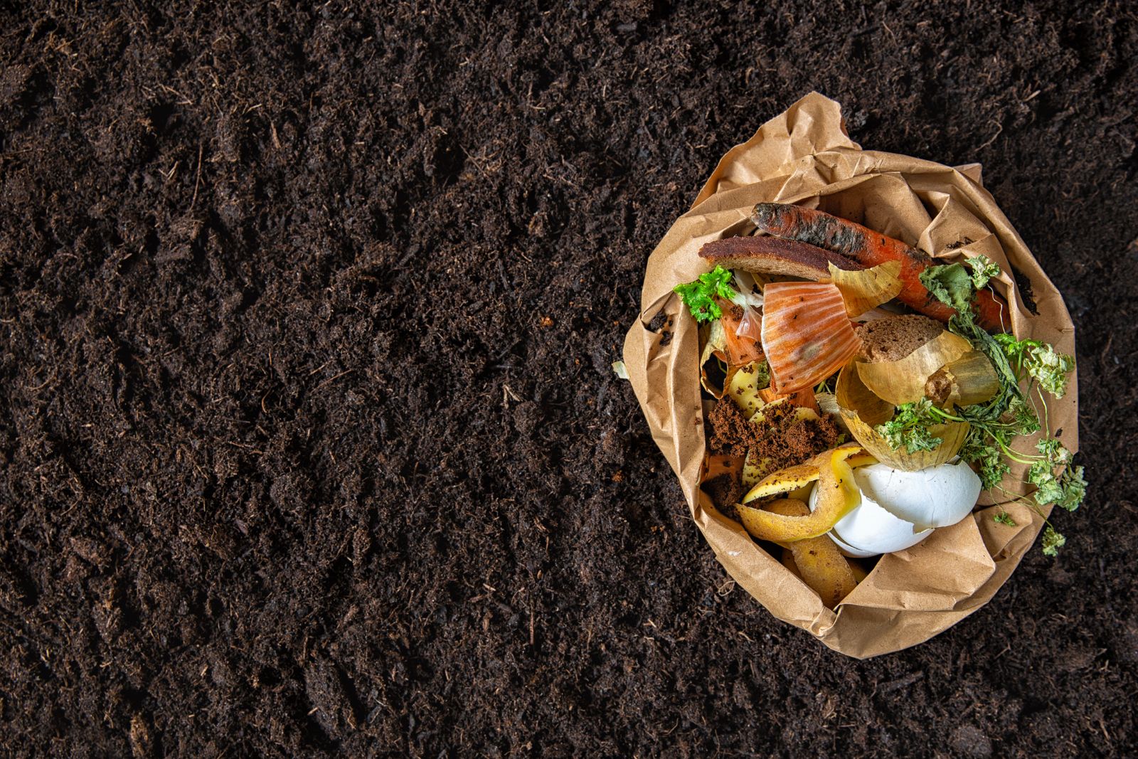 résidus d'aliments pour le compost