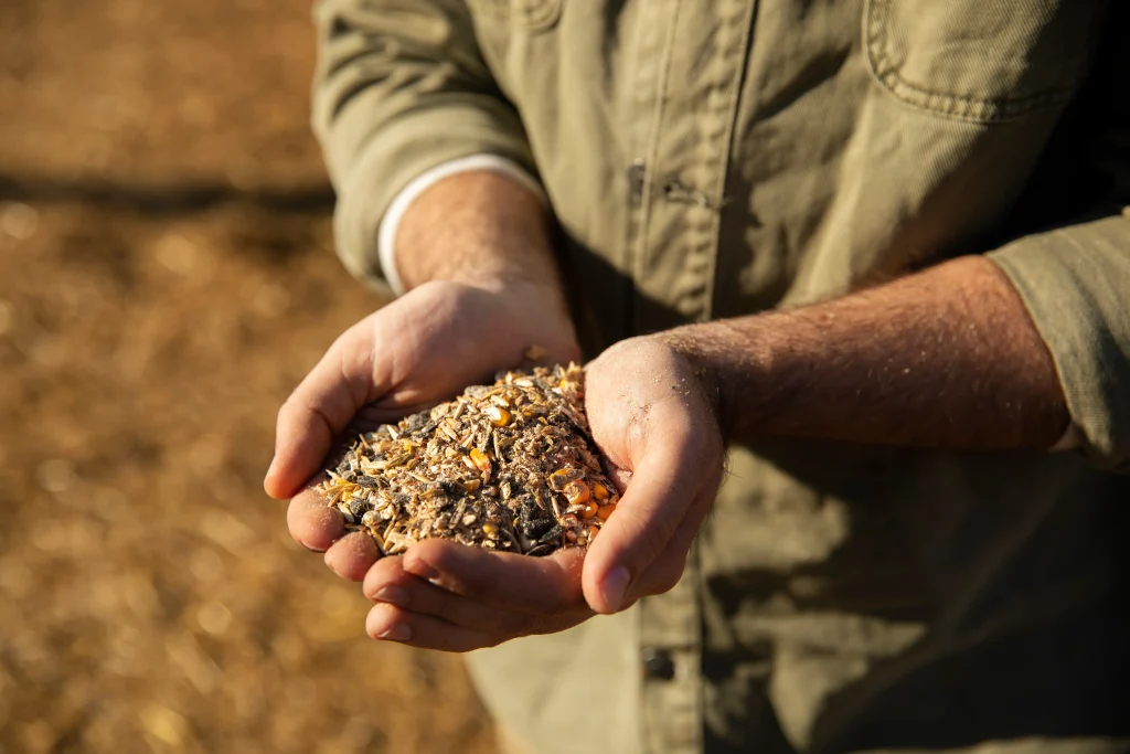 un agriculteur tenant des grains de semi