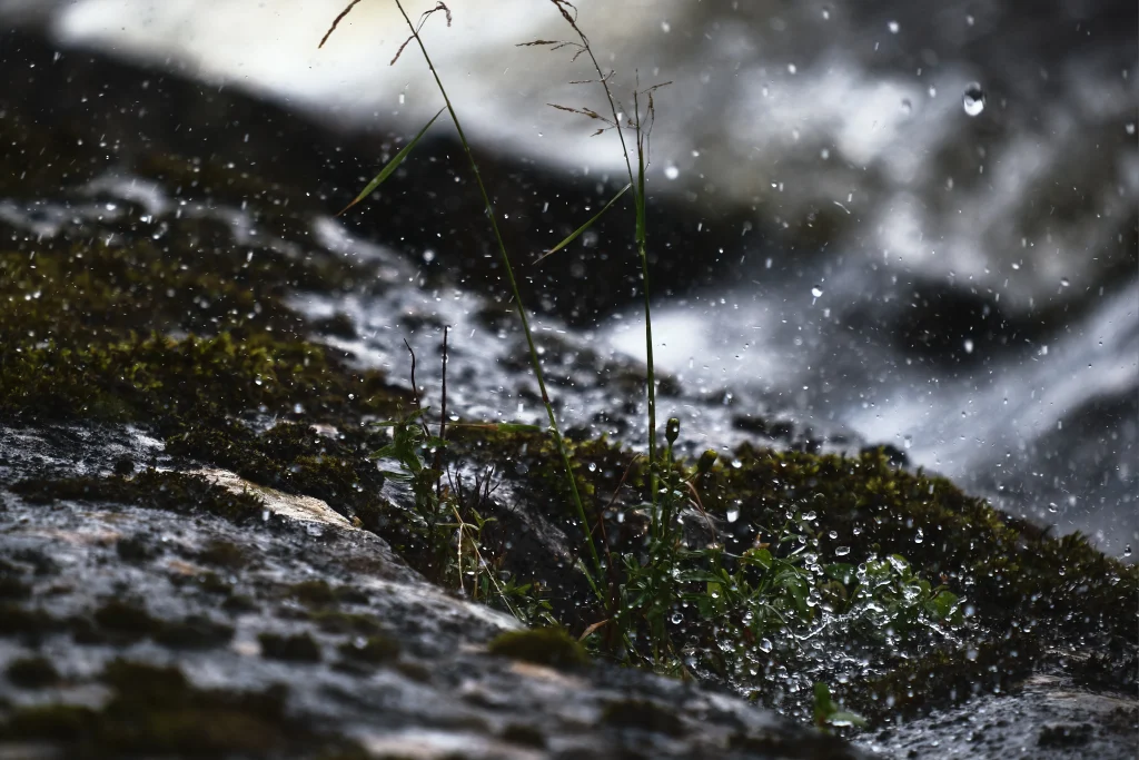 beau paysage de neige mélangé à la pluie