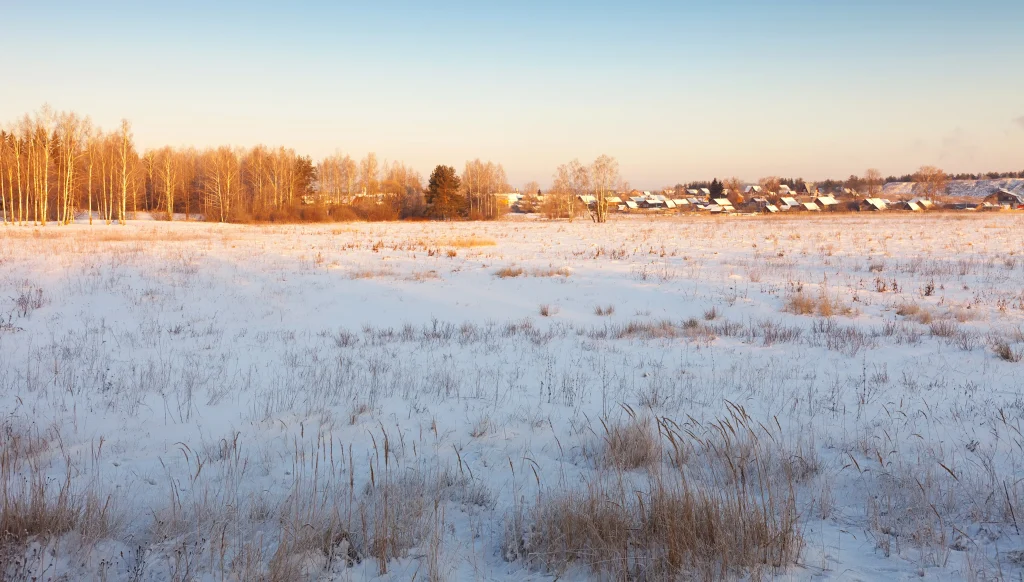 paysage hivernal