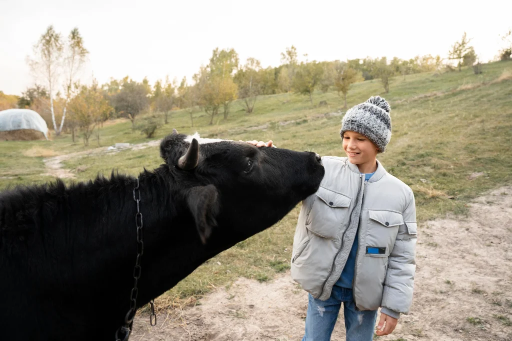 enfant qui caresse une vache