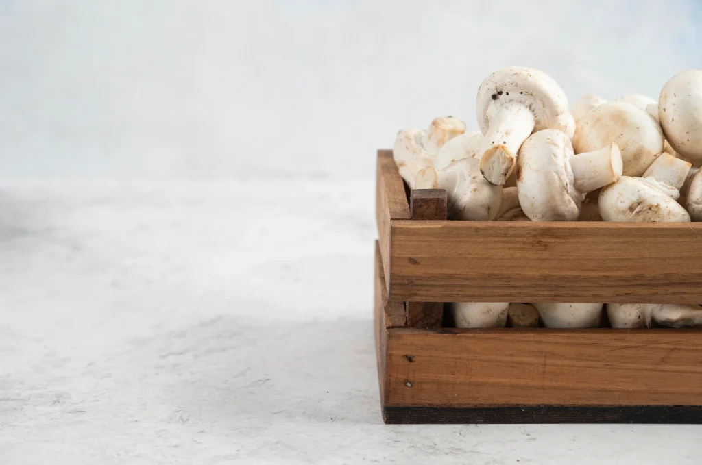 champignons blancs à l'intérieur d'une cagette