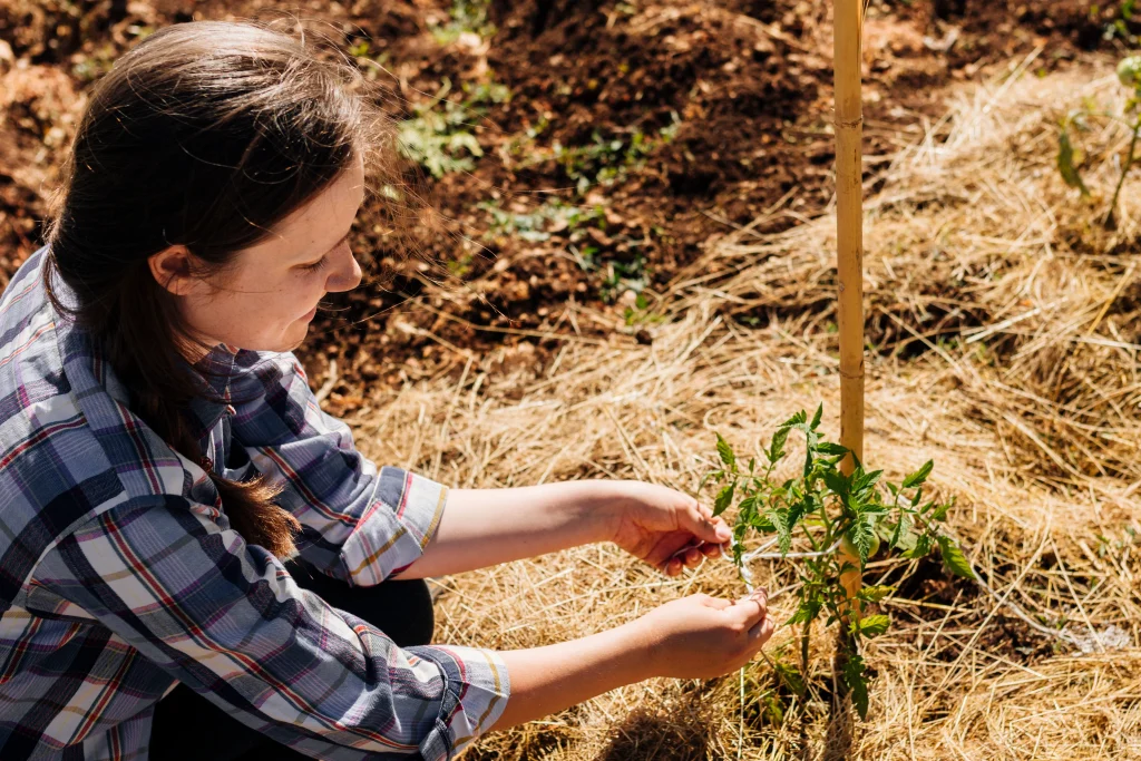 femme dans un jardin s'occupant de plantes