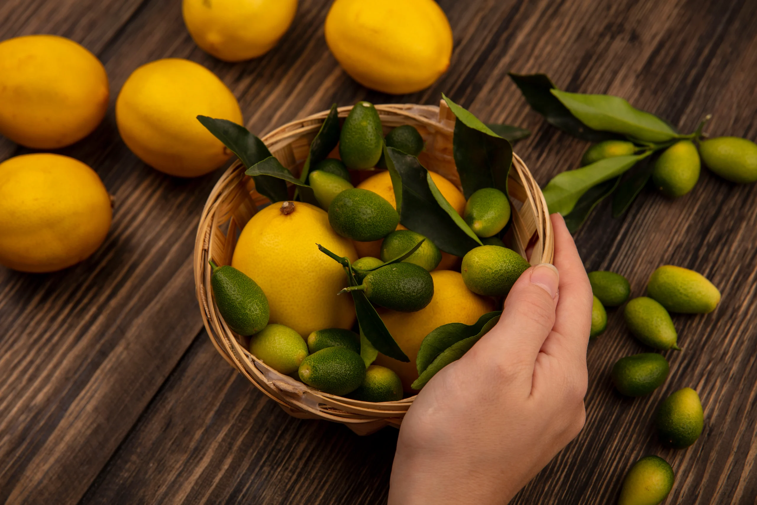 citrons dans un saladier en bois