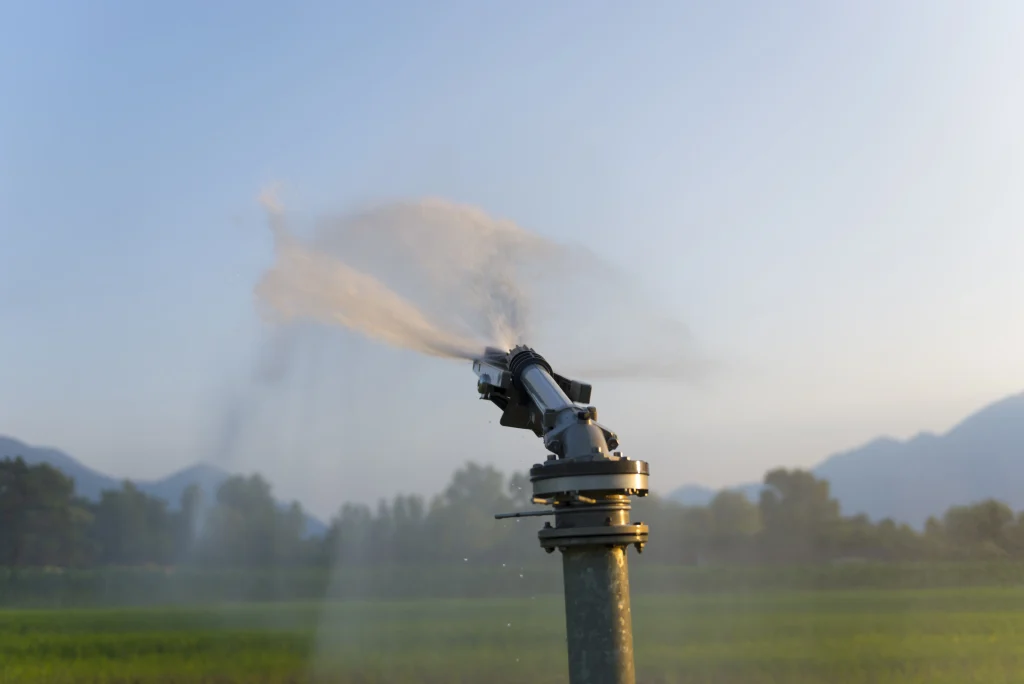 un sprinkler dans un champs