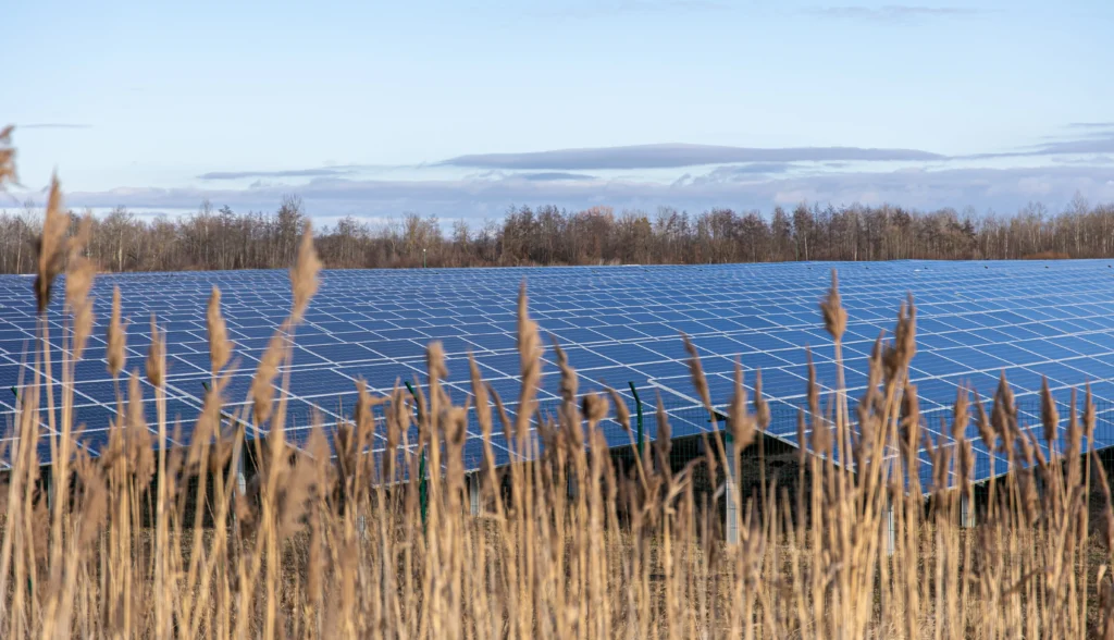 panneaux agrivoltaiques dans un champ